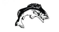Fisch 11